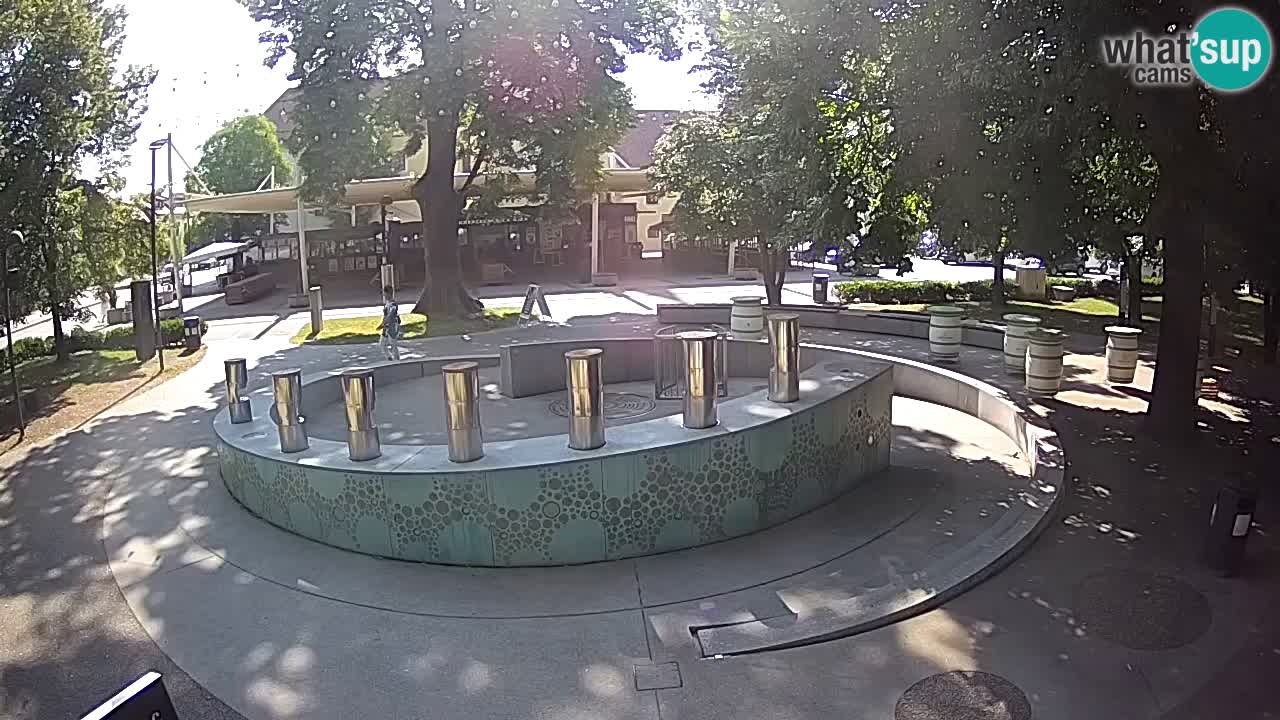 Fontana di birra Webcam – Oro verde – Žalec