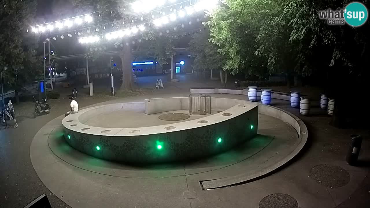 Fontaine à bière LIVE webcam – Or vert – Žalec