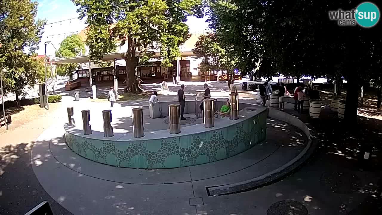Camera en vivo Fuente de cerveza – Oro verde – Žalec
