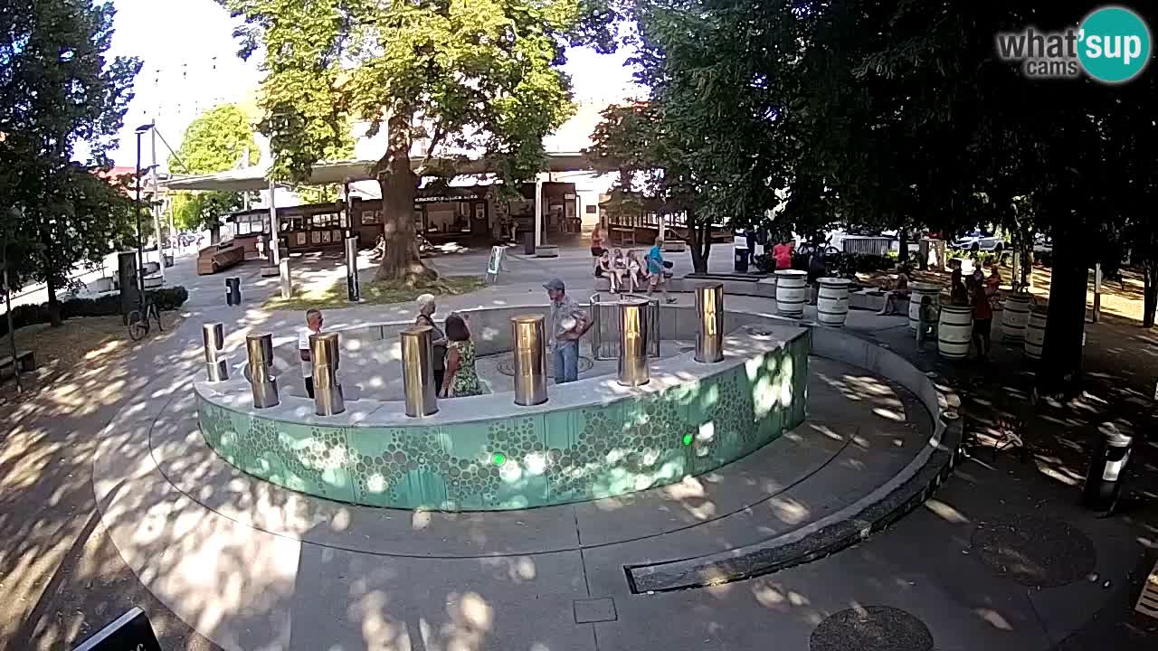 Fontaine à bière LIVE webcam – Or vert – Žalec