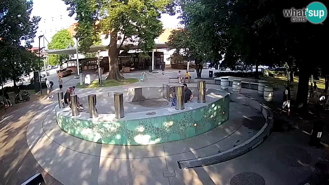 LIVEcam Beer fountain – Green Gold – Žalec – Slovenia