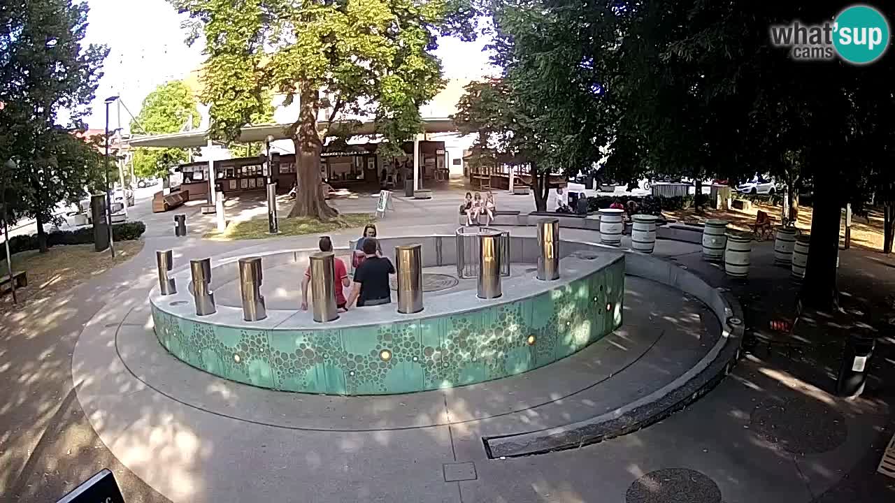 Fontaine à bière LIVE webcam – Or vert – Žalec