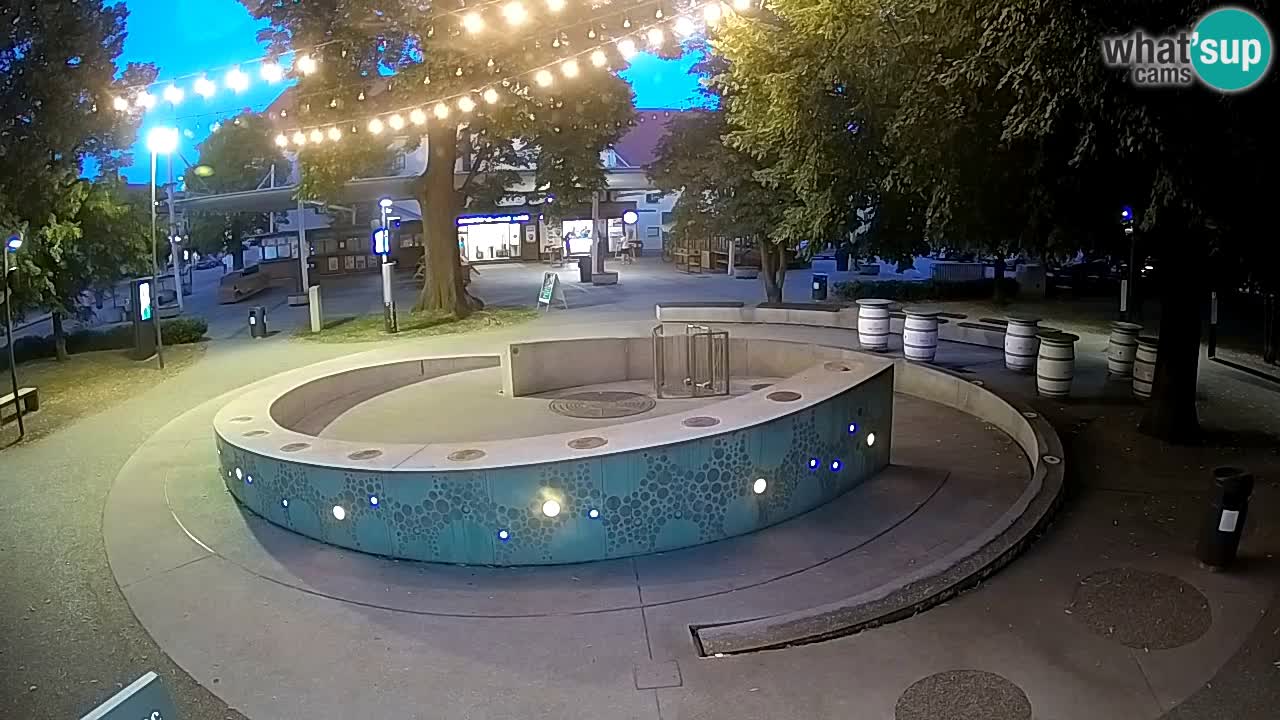 Spletna kamera Fontana Piv – Zeleno zlato Žalec