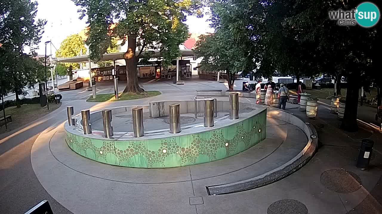 LIVEcam Beer fountain – Green Gold – Žalec – Slovenia