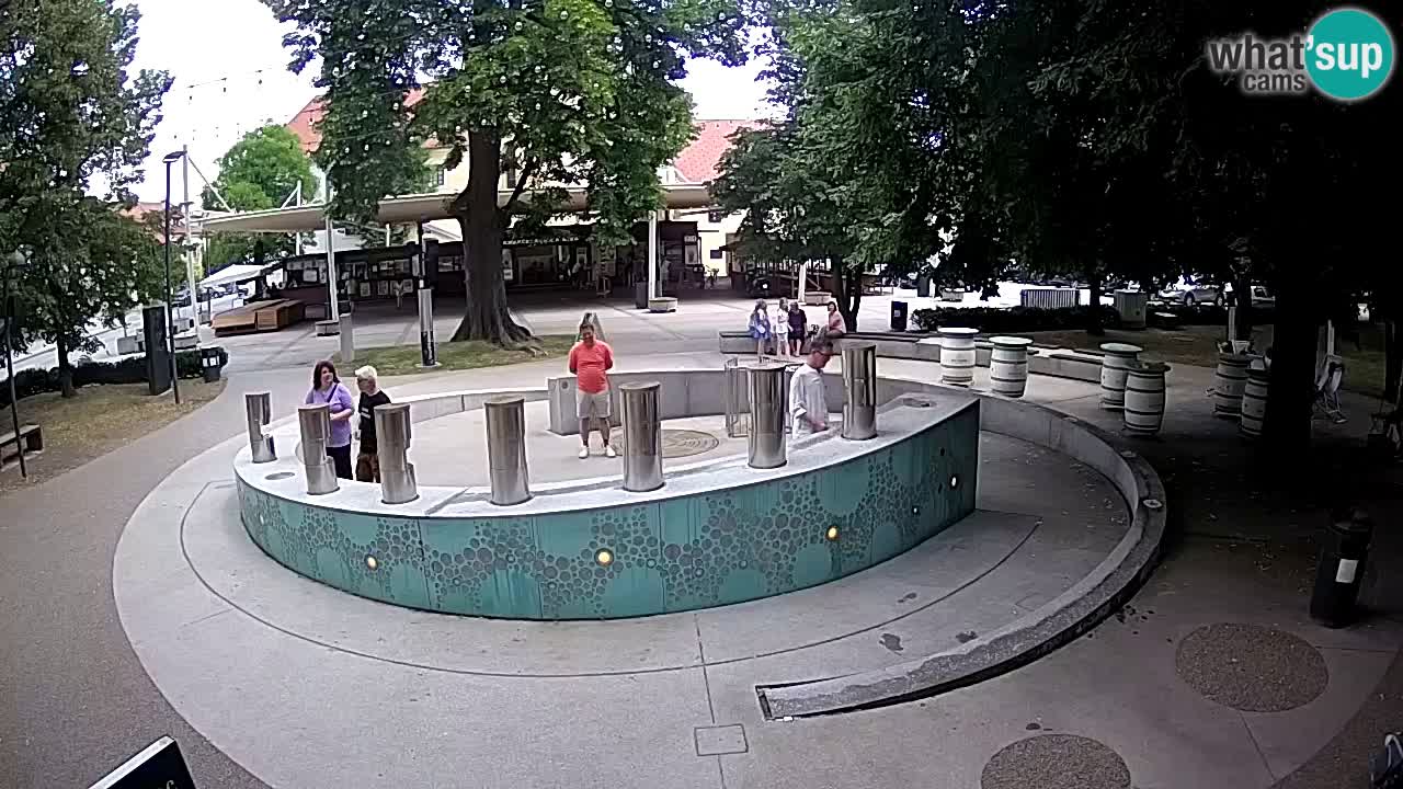 LIVEcam Beer fountain – Green Gold – Žalec – Slovenia