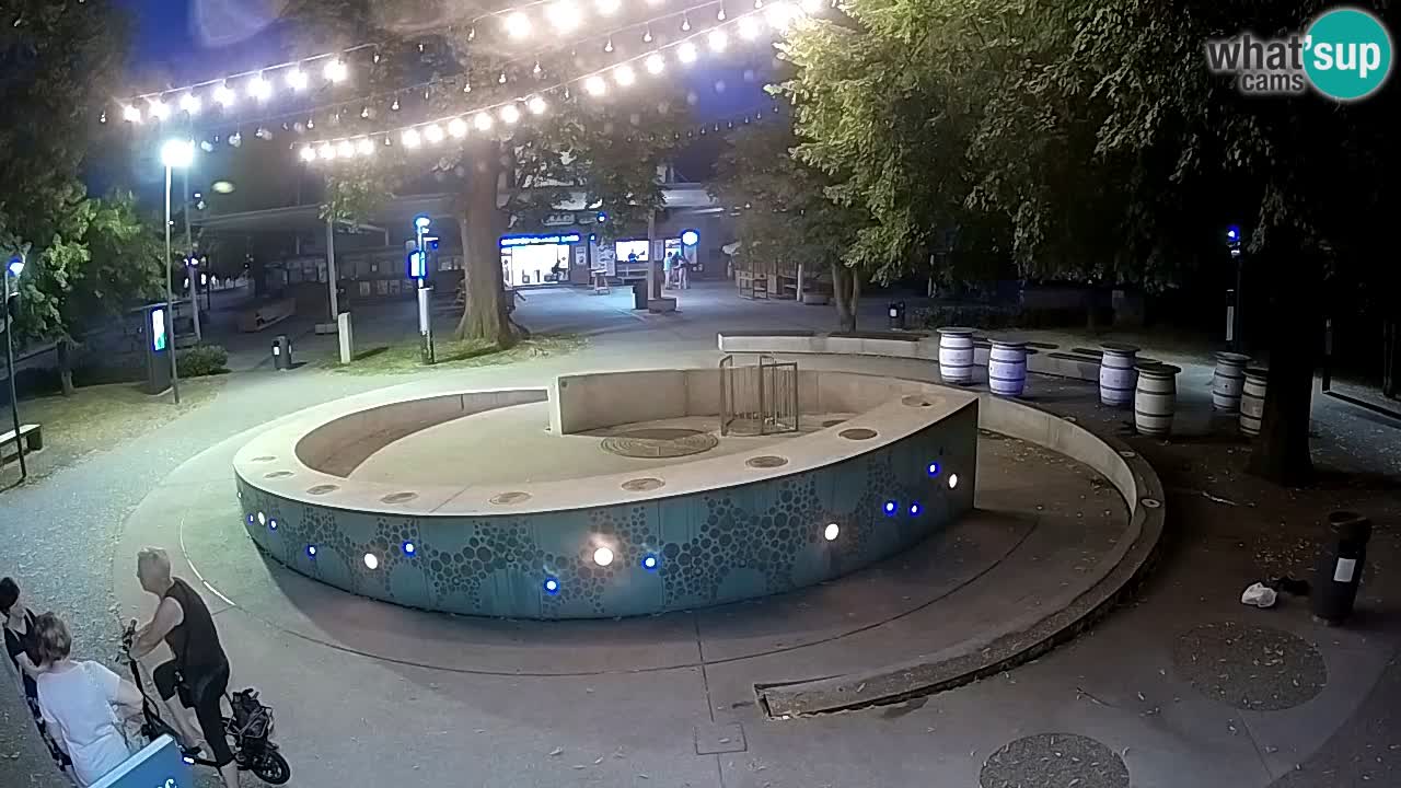 Camera en vivo Fuente de cerveza – Oro verde – Žalec
