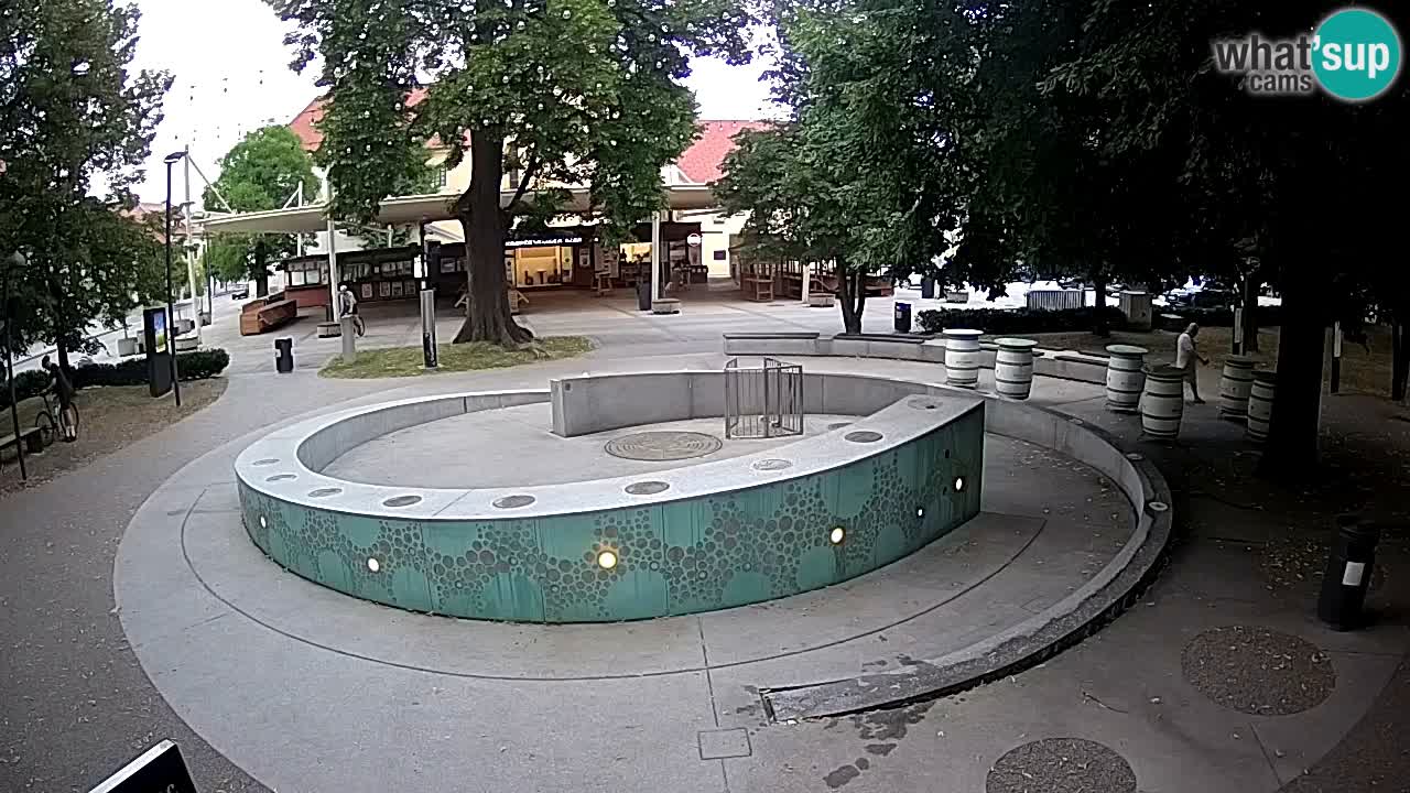 Bier-Springbrunnen Webcam Žalec – Grünen Goldes