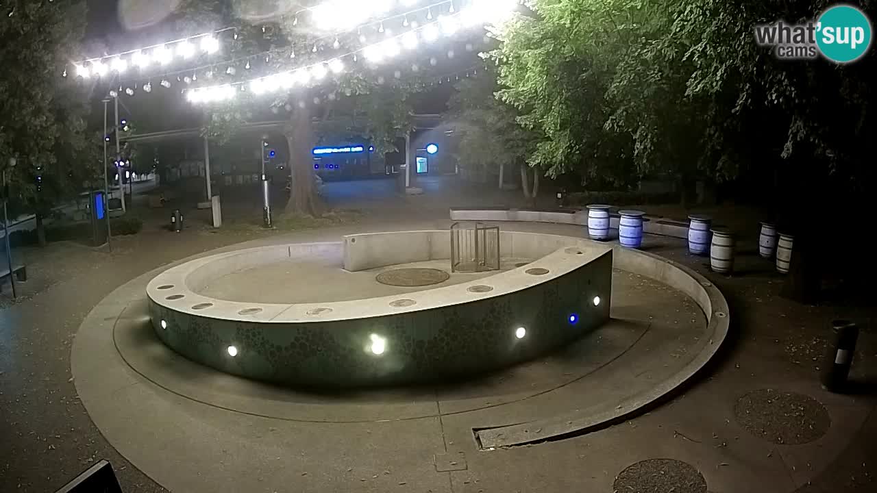 Spletna kamera Fontana Piv – Zeleno zlato Žalec