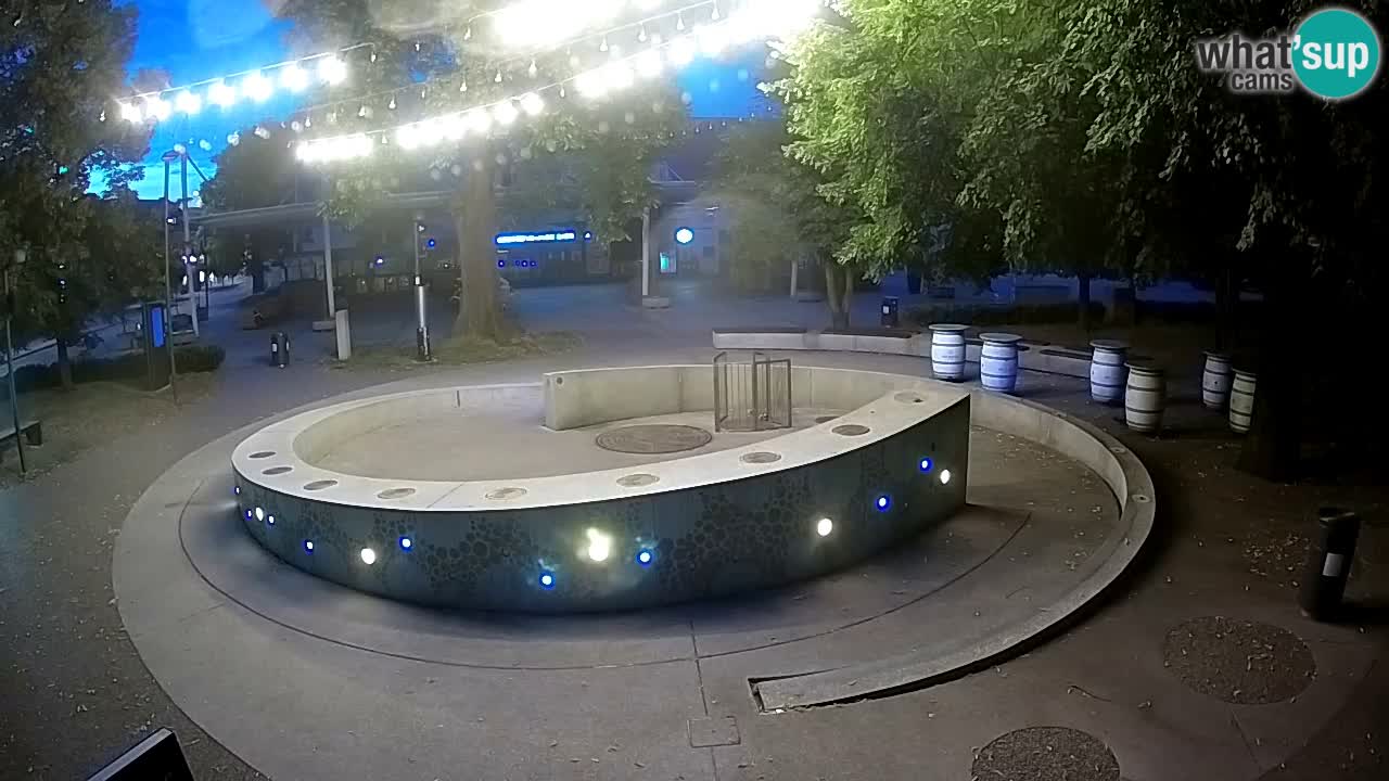 Fontana di birra Webcam – Oro verde – Žalec