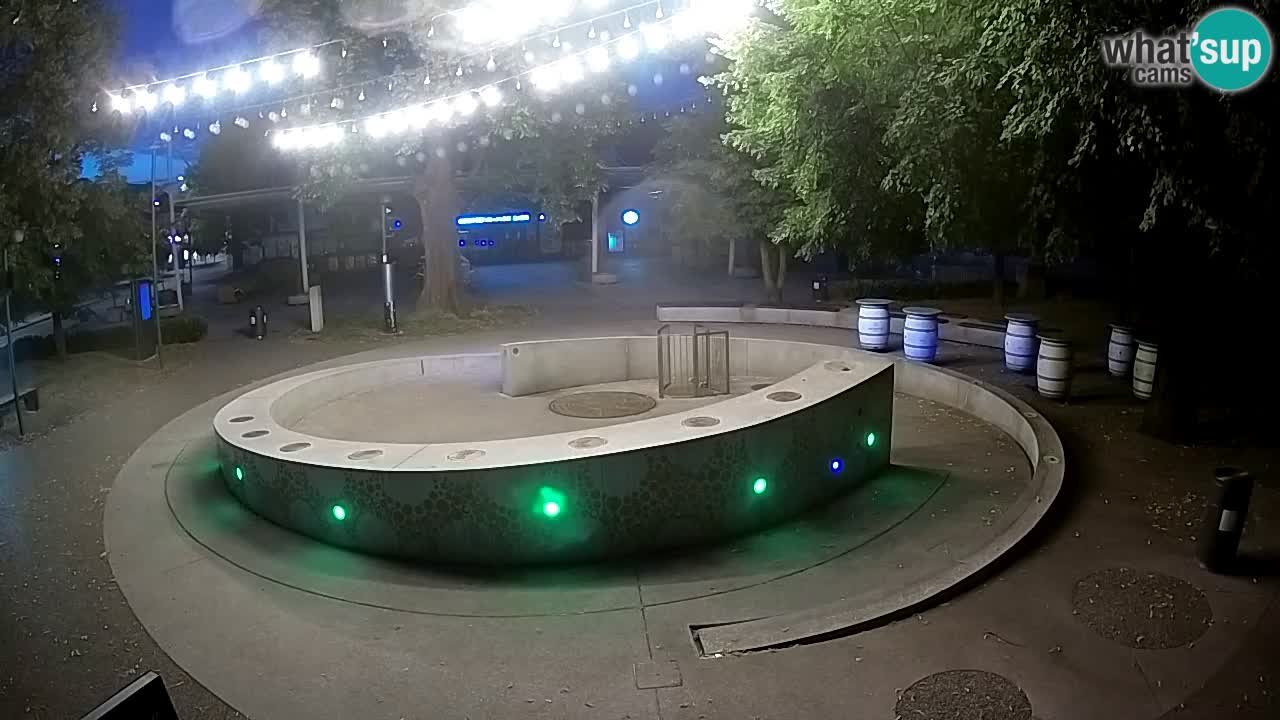 Fontaine à bière LIVE webcam – Or vert – Žalec