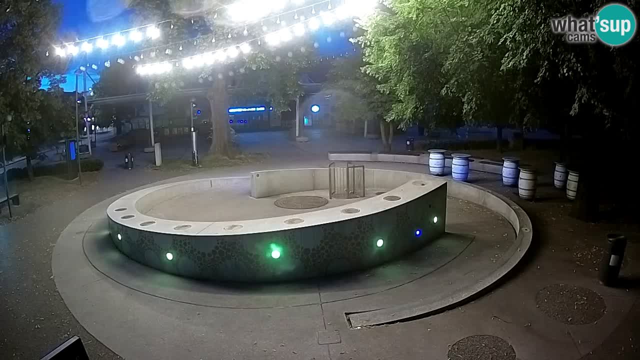 Camera en vivo Fuente de cerveza – Oro verde – Žalec