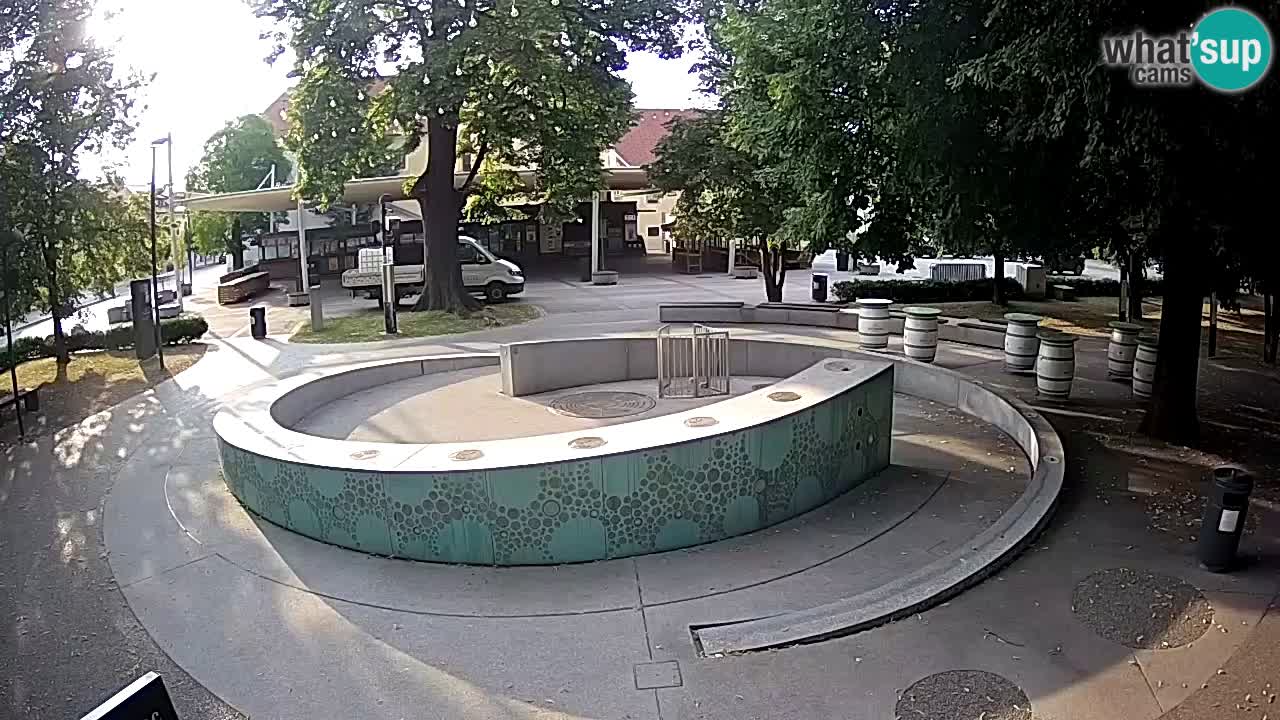 Fontaine à bière LIVE webcam – Or vert – Žalec