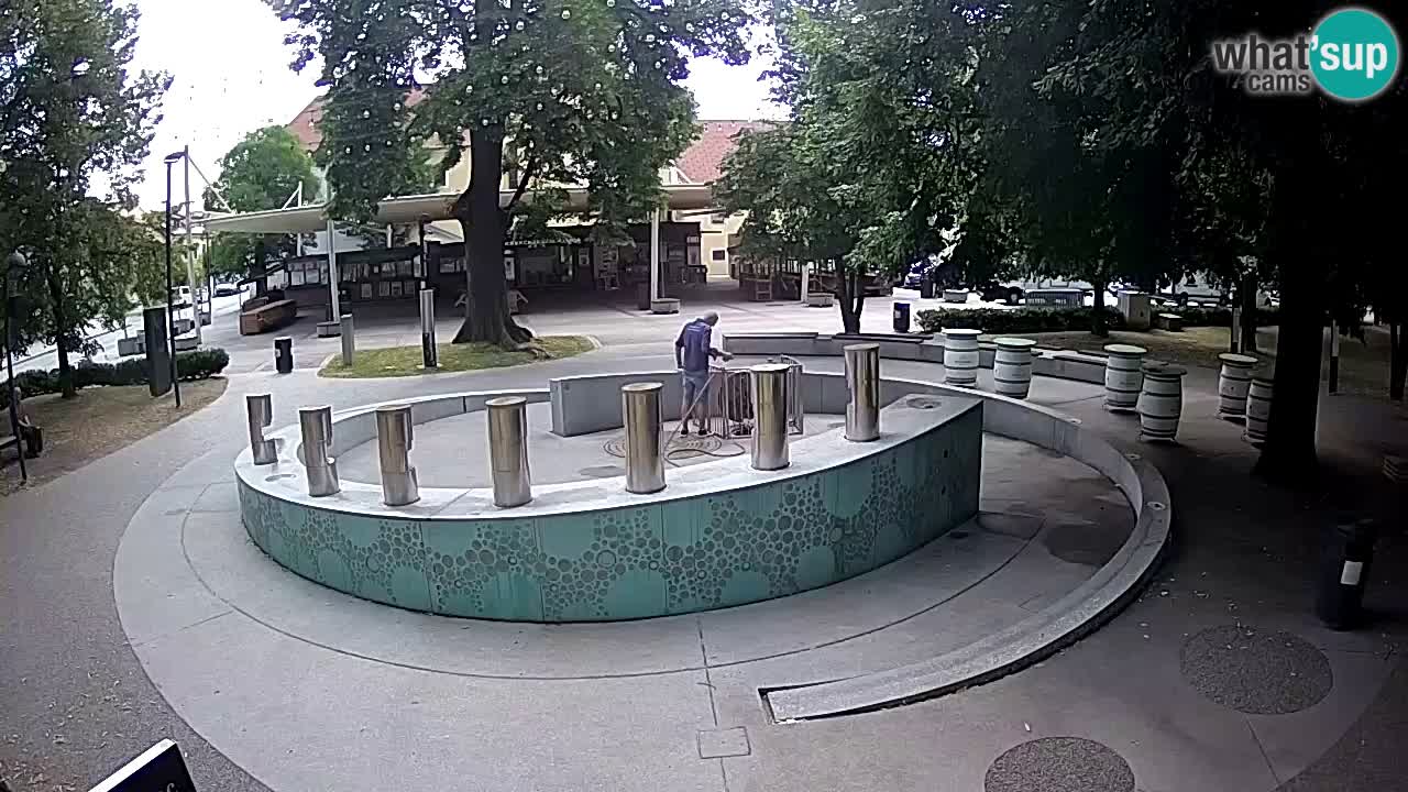 LIVEcam Beer fountain – Green Gold – Žalec – Slovenia