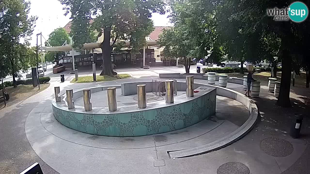 Fontaine à bière LIVE webcam – Or vert – Žalec