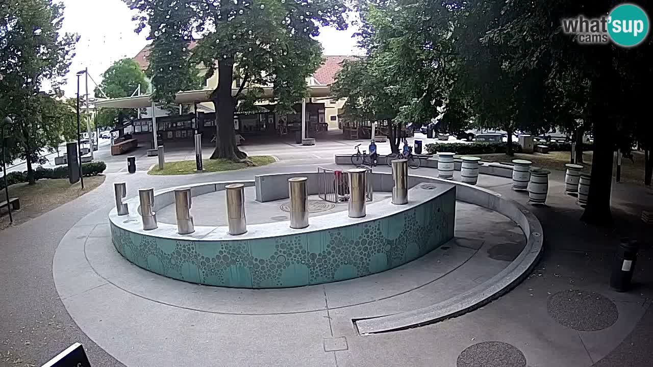 Web kamera Fontana piva – Zeleno zlato – Žalec