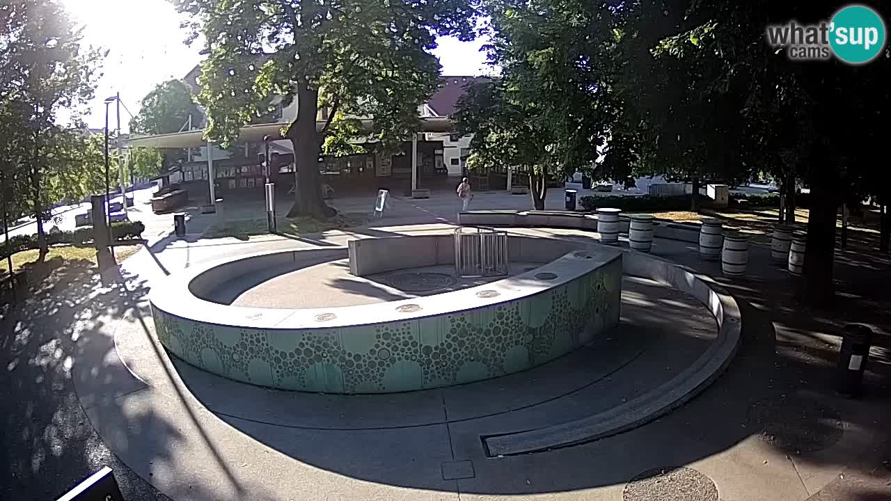 LIVEcam Beer fountain – Green Gold – Žalec – Slovenia