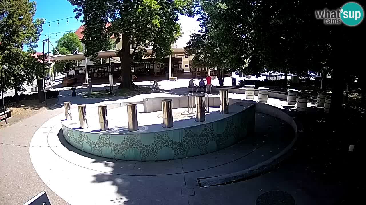 Bier-Springbrunnen Webcam Žalec – Grünen Goldes