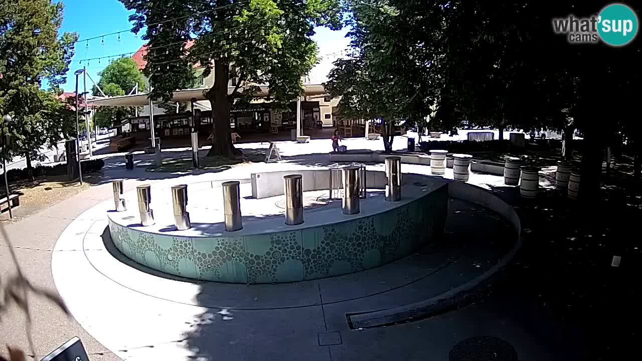 Bier-Springbrunnen Webcam Žalec – Grünen Goldes