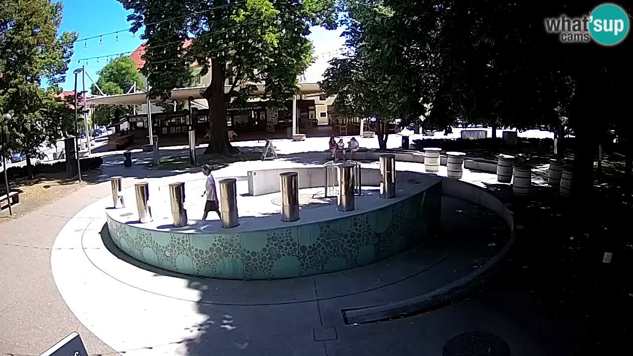 Camera en vivo Fuente de cerveza – Oro verde – Žalec