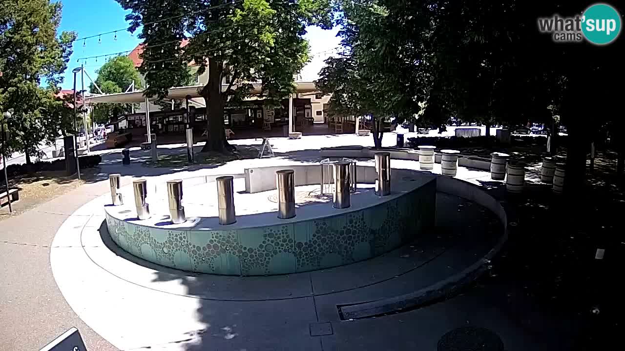 Fontaine à bière LIVE webcam – Or vert – Žalec