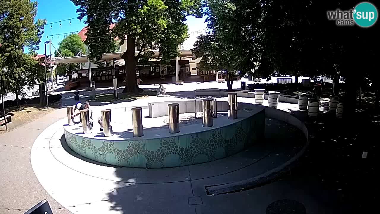 Camera en vivo Fuente de cerveza – Oro verde – Žalec