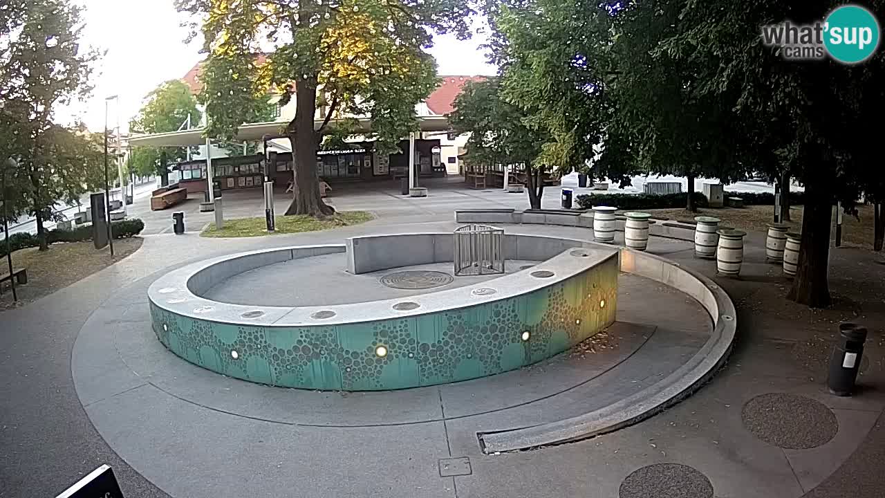 LIVEcam Beer fountain – Green Gold – Žalec – Slovenia