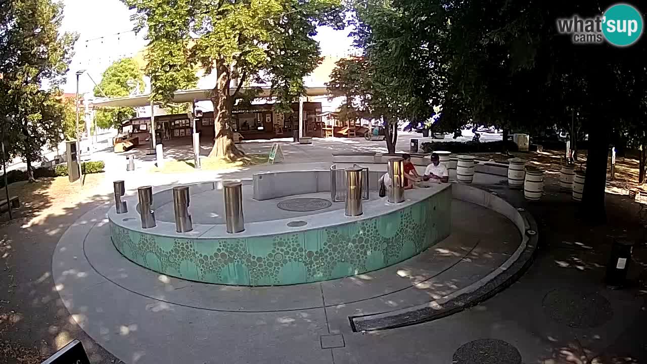 LIVEcam Beer fountain – Green Gold – Žalec – Slovenia