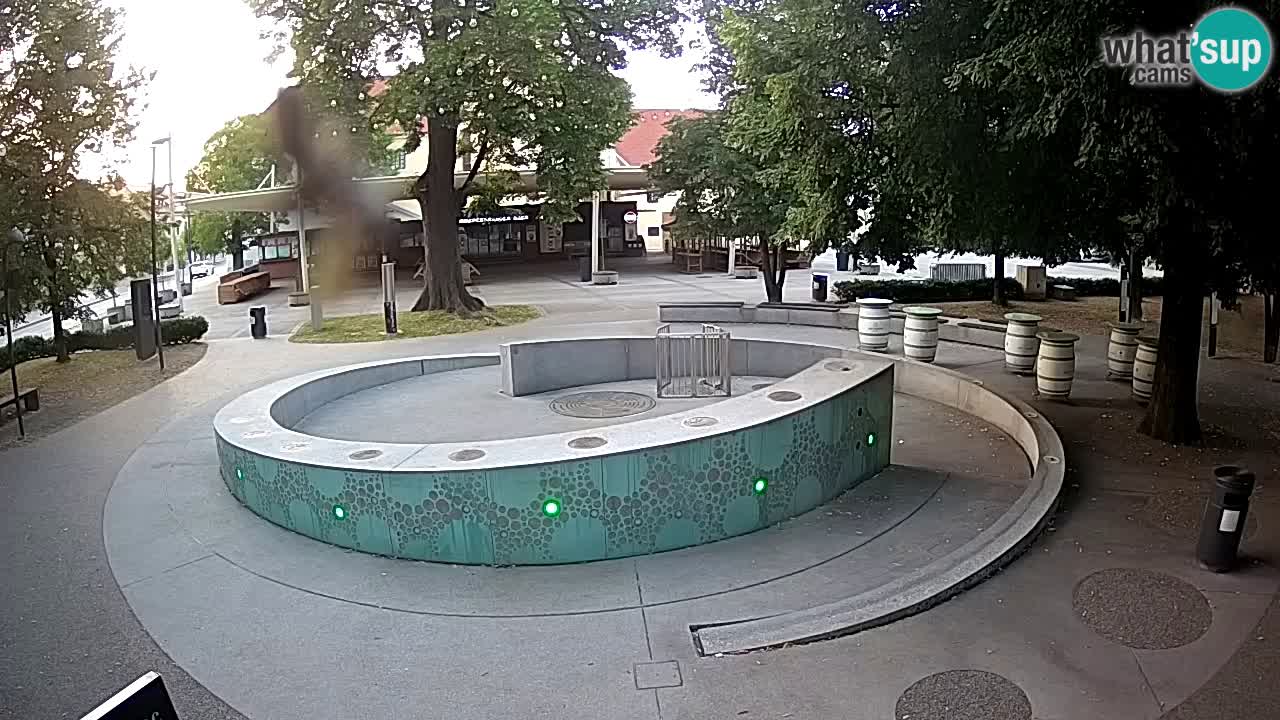 Bier-Springbrunnen Webcam Žalec – Grünen Goldes