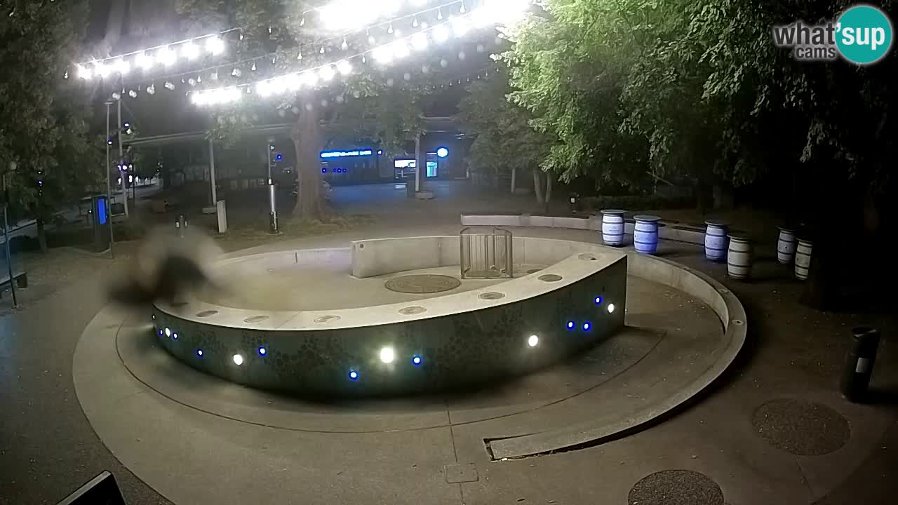 Fontaine à bière LIVE webcam – Or vert – Žalec