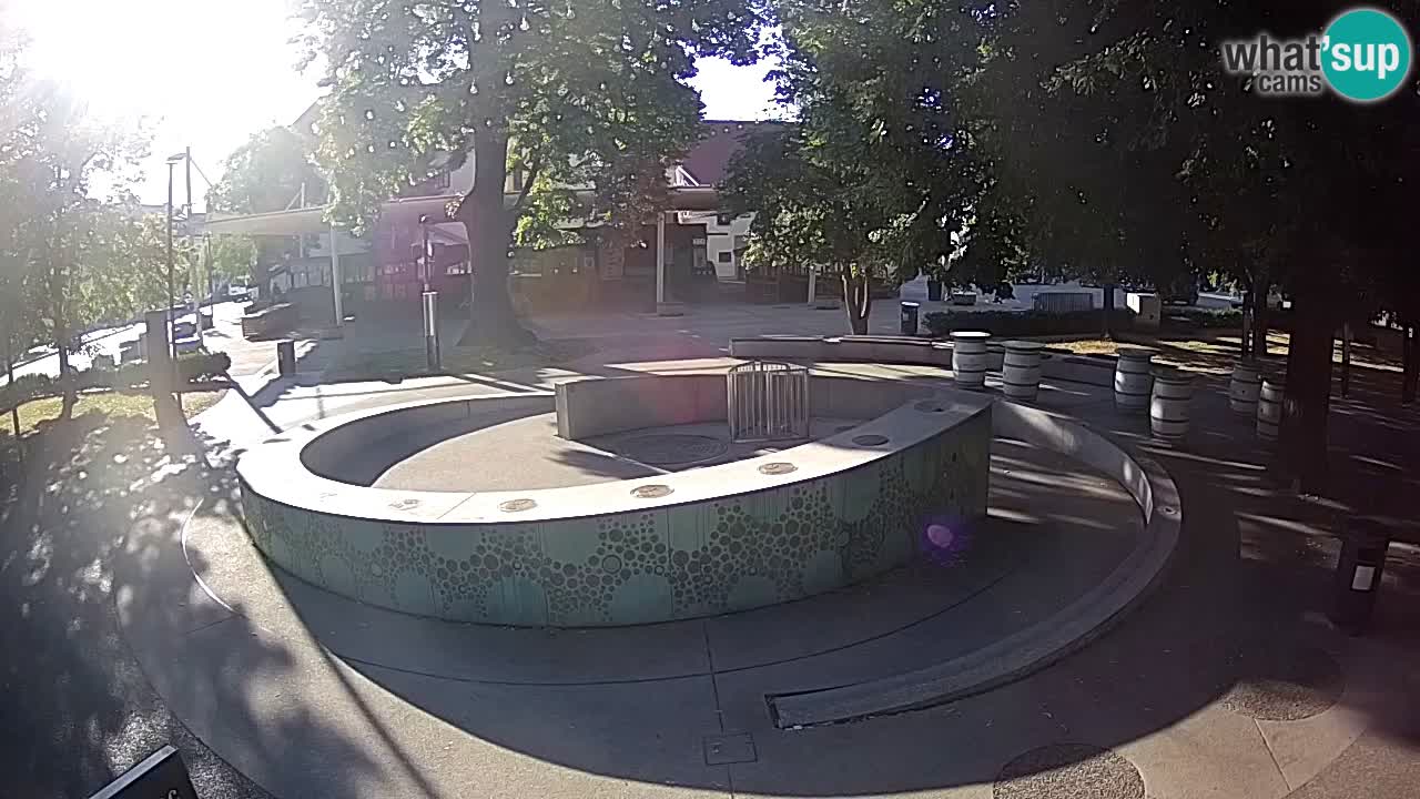 LIVEcam Beer fountain – Green Gold – Žalec – Slovenia