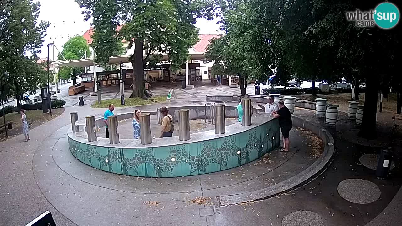 Fontaine à bière LIVE webcam – Or vert – Žalec