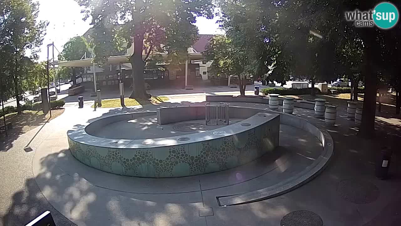 Spletna kamera Fontana Piv – Zeleno zlato Žalec