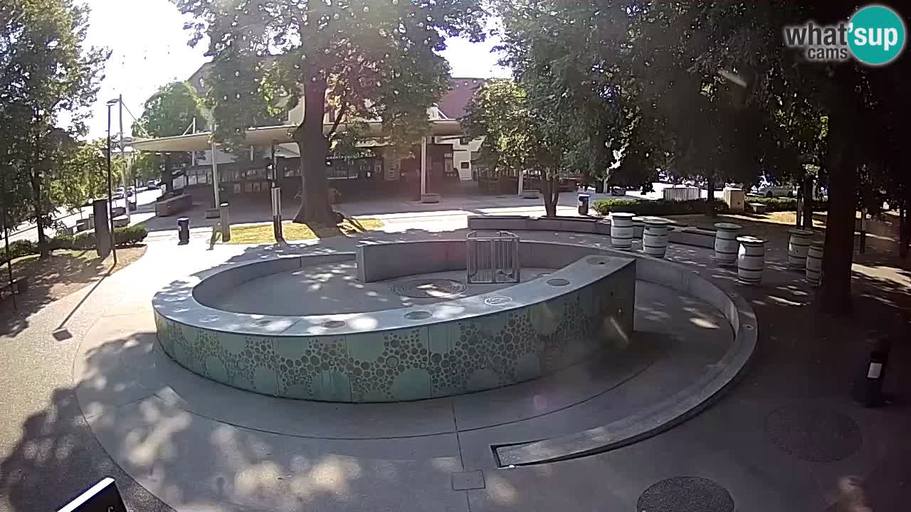 Spletna kamera Fontana Piv – Zeleno zlato Žalec