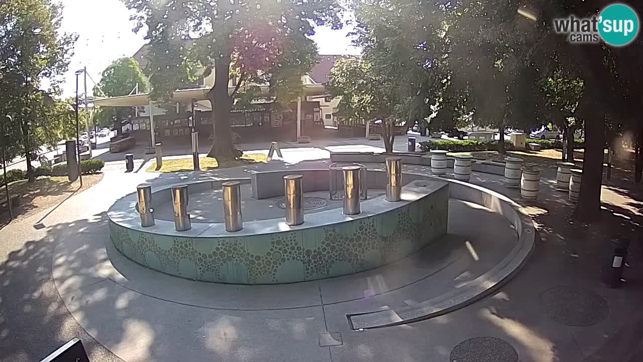 Bier-Springbrunnen Webcam Žalec – Grünen Goldes
