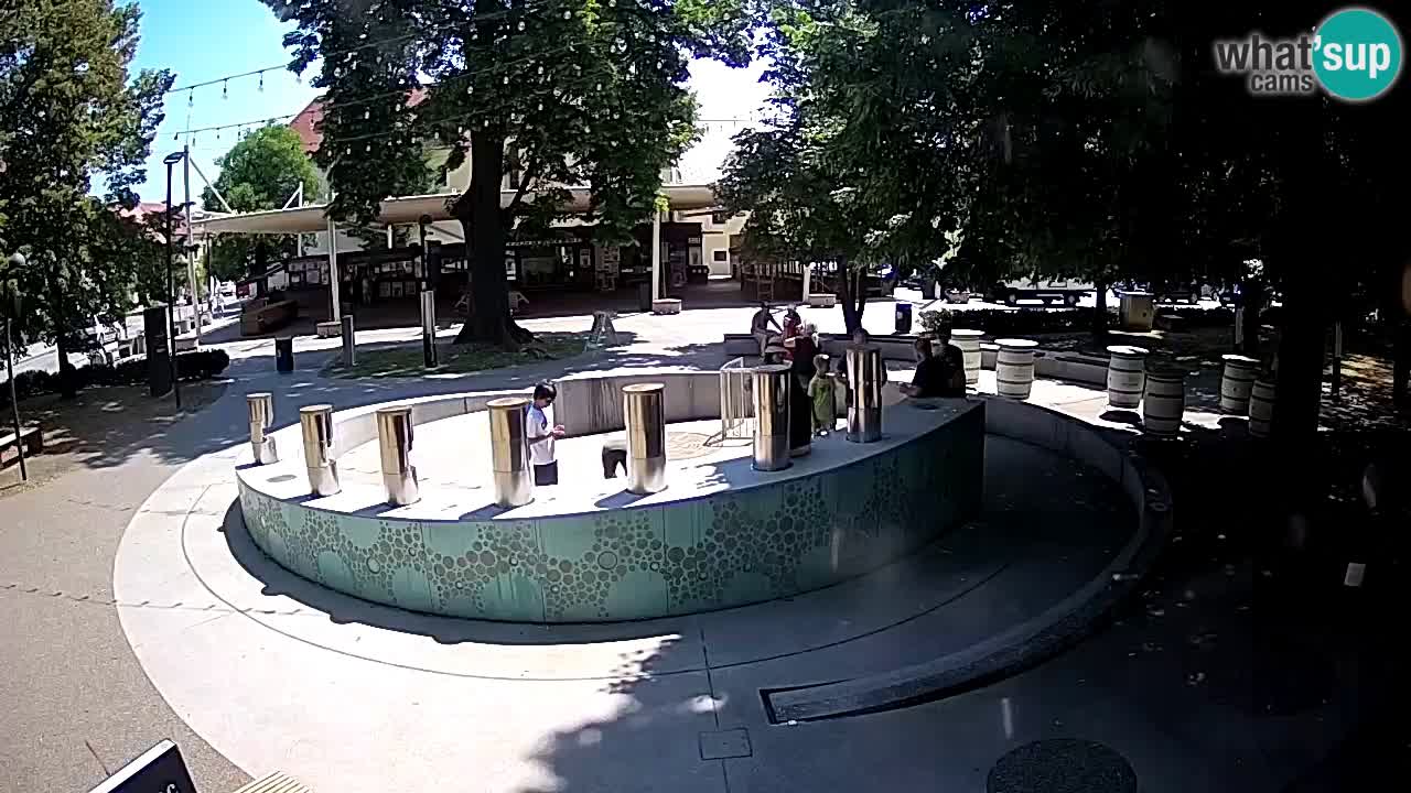 Camera en vivo Fuente de cerveza – Oro verde – Žalec