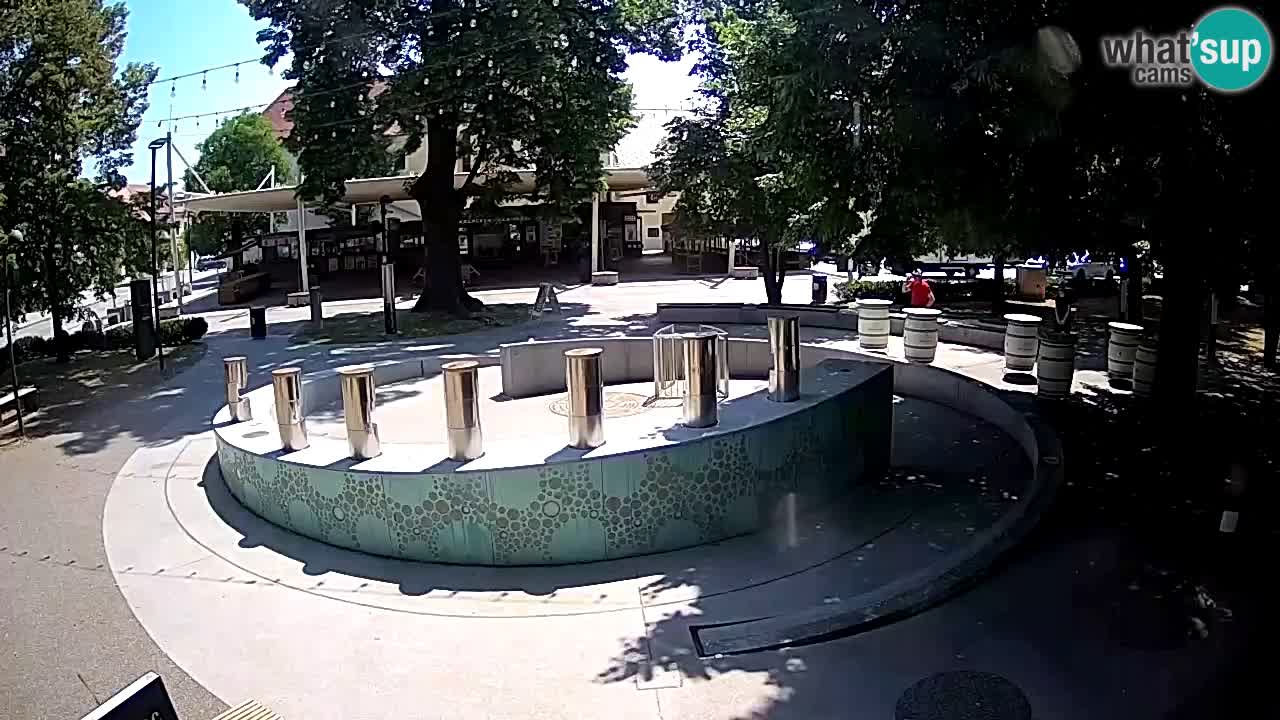 Fontaine à bière LIVE webcam – Or vert – Žalec