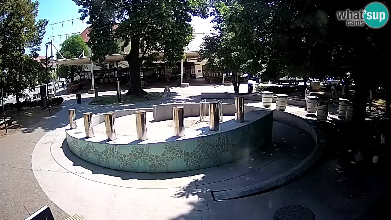 Spletna kamera Fontana Piv – Zeleno zlato Žalec