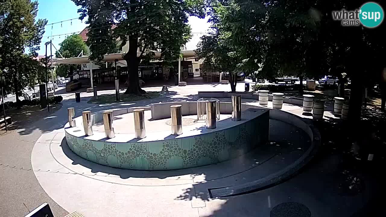 Camera en vivo Fuente de cerveza – Oro verde – Žalec
