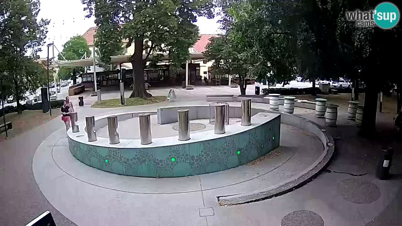 Fontana di birra Webcam – Oro verde – Žalec