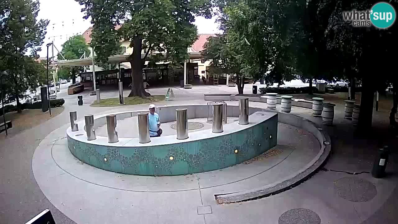 Fontana di birra Webcam – Oro verde – Žalec