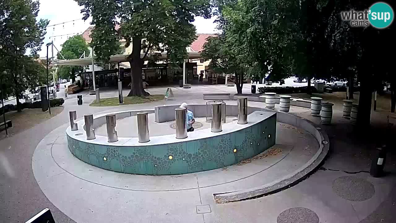 Bier-Springbrunnen Webcam Žalec – Grünen Goldes