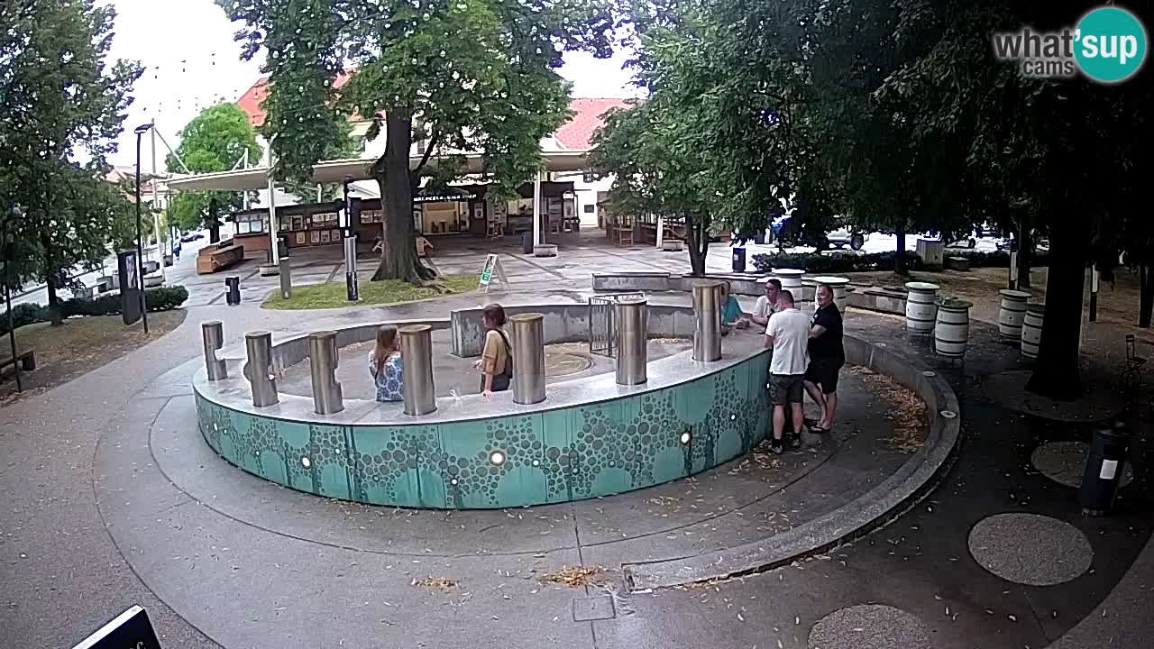 Camera en vivo Fuente de cerveza – Oro verde – Žalec