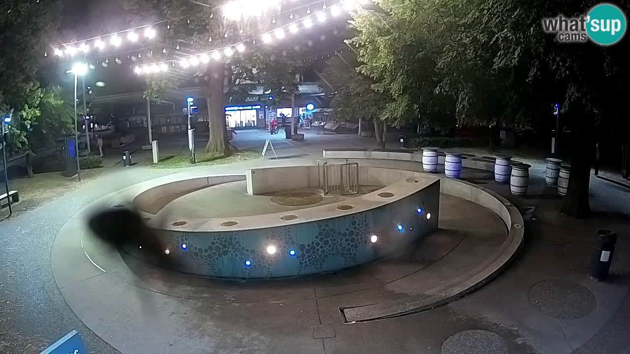 Fontaine à bière LIVE webcam – Or vert – Žalec