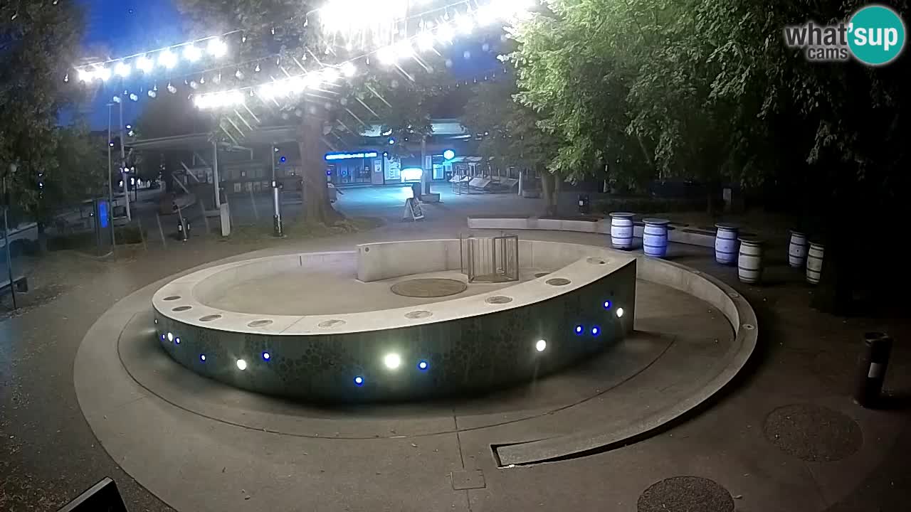 LIVEcam Beer fountain – Green Gold – Žalec – Slovenia