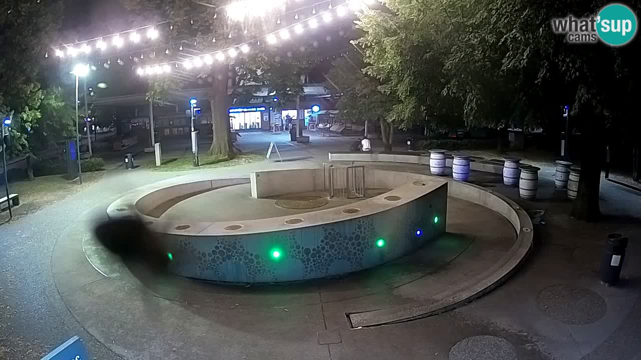 Fontana di birra Webcam – Oro verde – Žalec