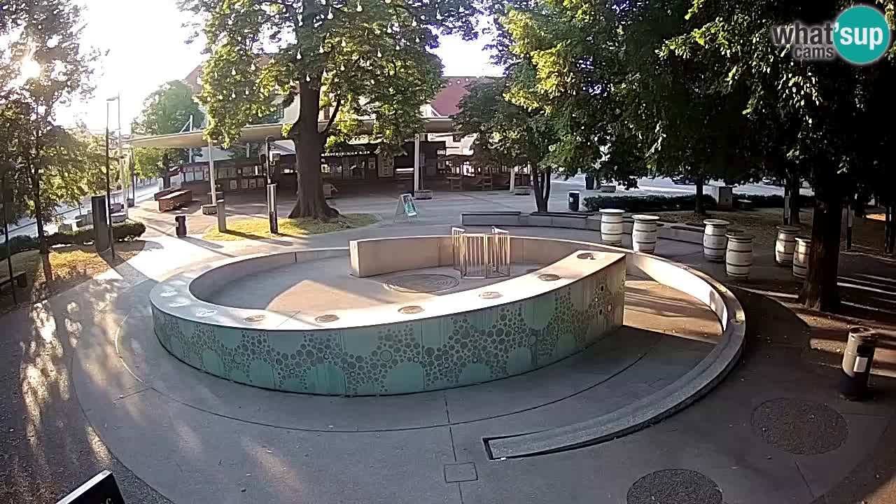 Web kamera Fontana piva – Zeleno zlato – Žalec