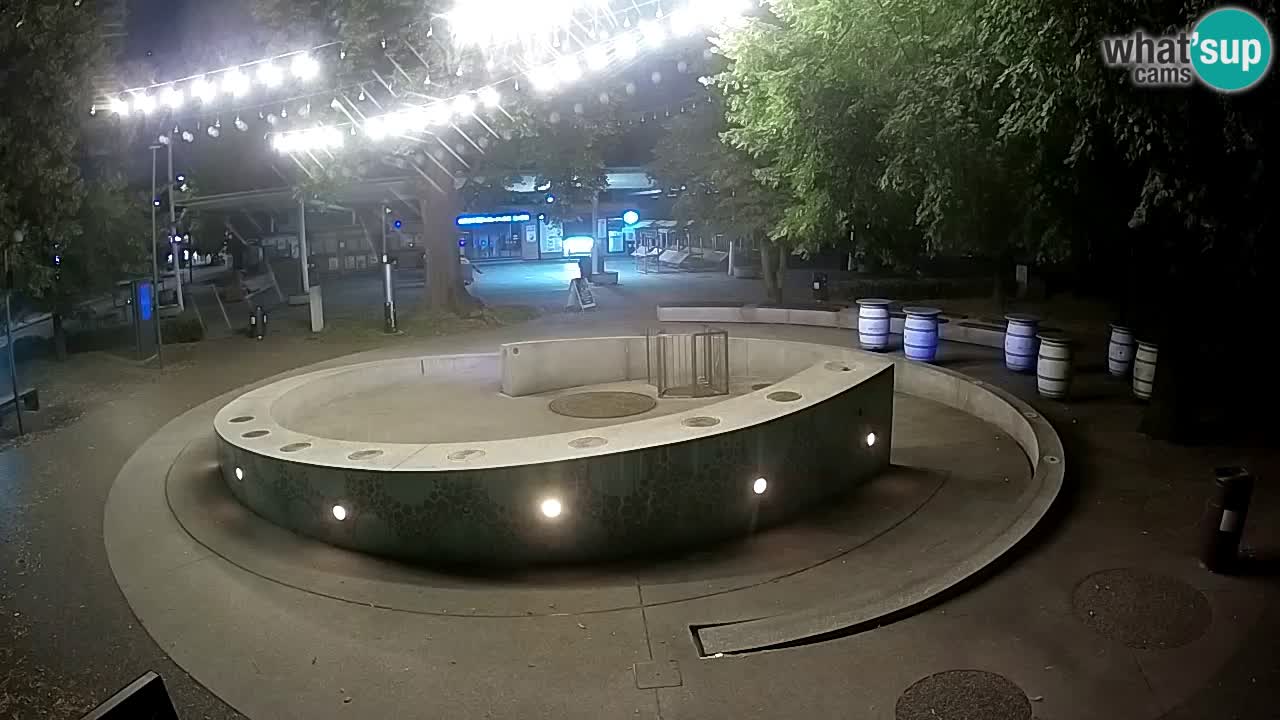 Fontaine à bière LIVE webcam – Or vert – Žalec