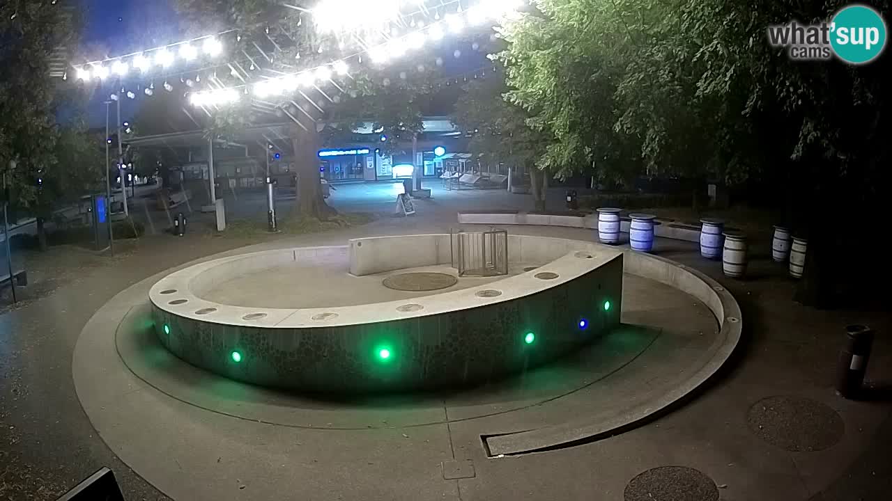 Camera en vivo Fuente de cerveza – Oro verde – Žalec