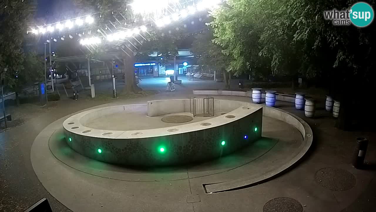 Bier-Springbrunnen Webcam Žalec – Grünen Goldes