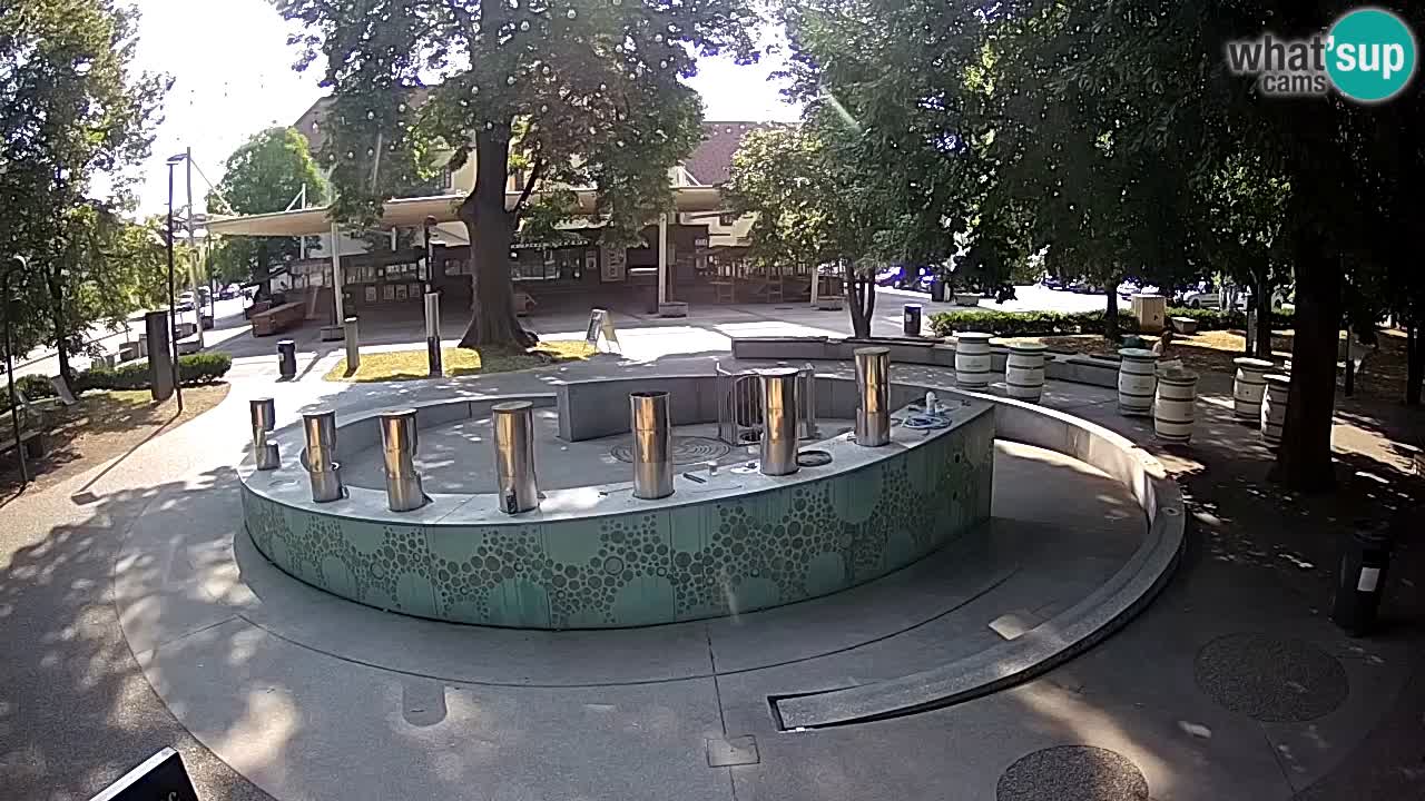 LIVEcam Beer fountain – Green Gold – Žalec – Slovenia